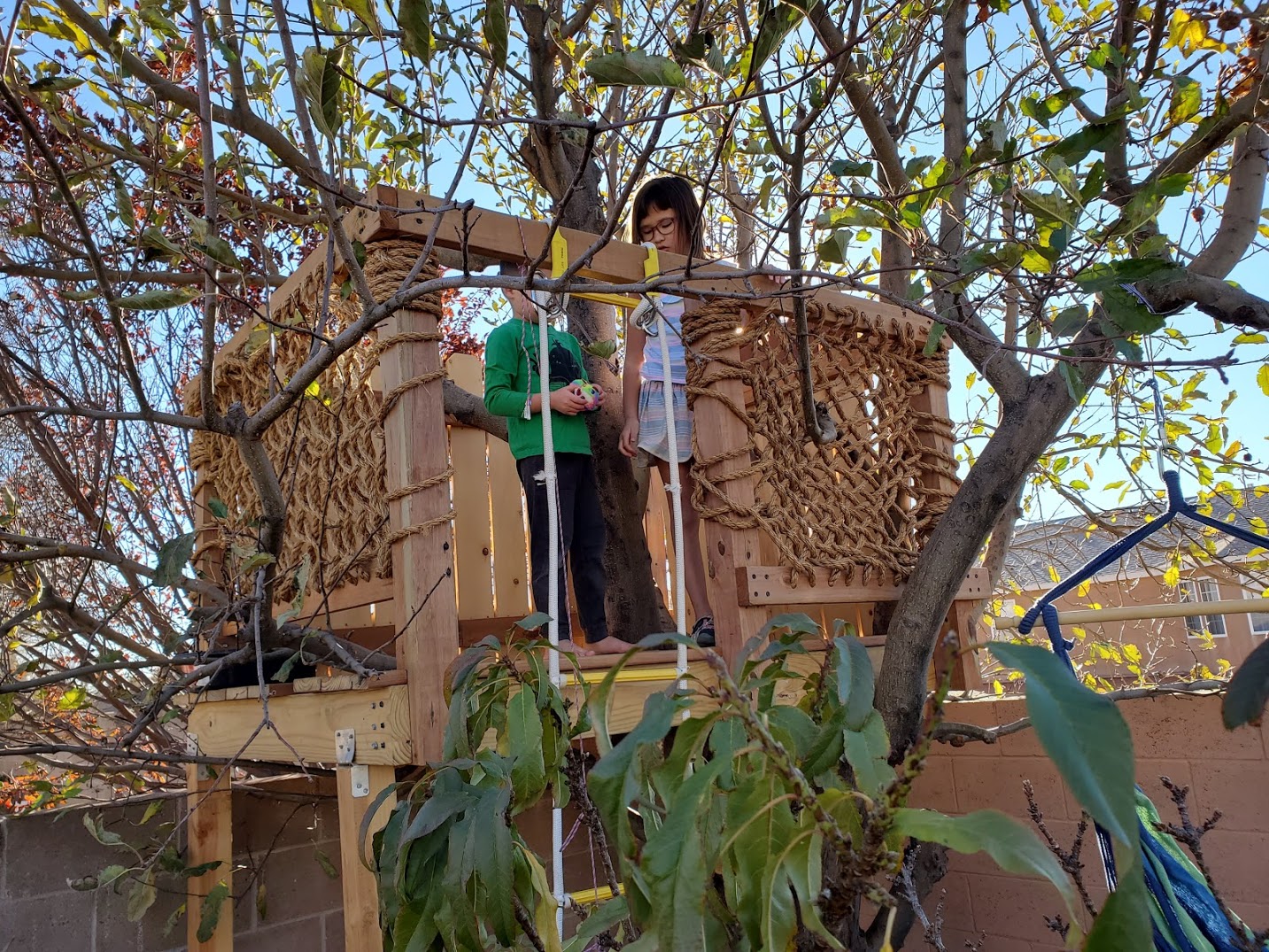 More Backyard builds